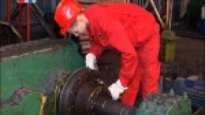 Нашли достойное применение знаниям