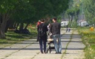 В связи с грядущими сентябрьскими выборами в городе был проведен соц опрос