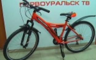 Активисты организации "Первоуральск - Город Чемпионов" подвели итоги конкурса талисманов