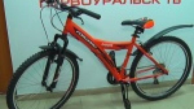 Активисты организации "Первоуральск - Город Чемпионов" подвели итоги конкурса талисманов