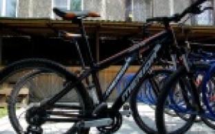 Одни спортсмены помогли другим