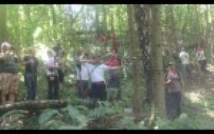 Спортсмены из 11 регионов, включая Свердловскую область, приняли участие в Чемпионате России по 3D-стрельбе из лука