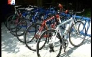 Расчитывают пополнить копилку медалей по итогам соревнований Свердловской области и открытого Первенства Верхней Пышмы