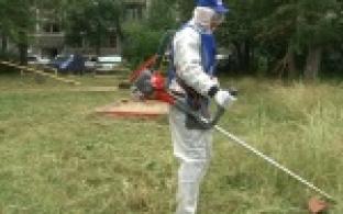 В некоторых первоуральских дворах впору заготавливать сено - трава по пояс