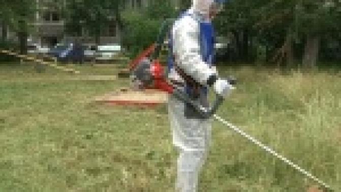 В некоторых первоуральских дворах впору заготавливать сено - трава по пояс