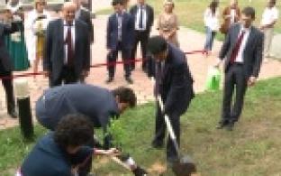 На аллее мира появились несколько новых саженцев