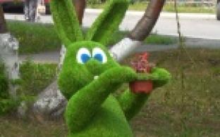 Яркие топиарии продолжают устанавливать на центральных улицах города