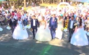 Городской парк культуры и отдыха превратился во дворец бракосочетания