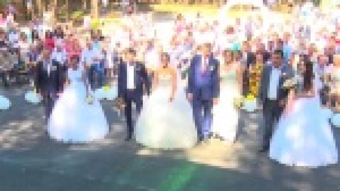 Городской парк культуры и отдыха превратился во дворец бракосочетания