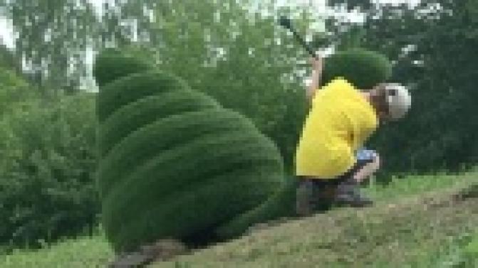 В городе продолжили установку топиариев