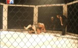 Турнир смешанных единоборств "Вторжение - 5" прошёл в Ледовом дворце