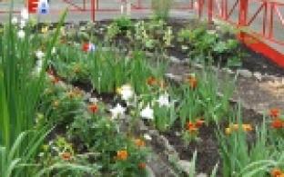 Еще один первоуральский двор заиграл новыми яркими красками