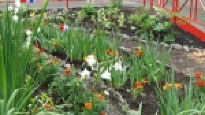 Еще один первоуральский двор заиграл новыми яркими красками