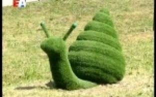 В Первоуральске появилась гигантская улитка.