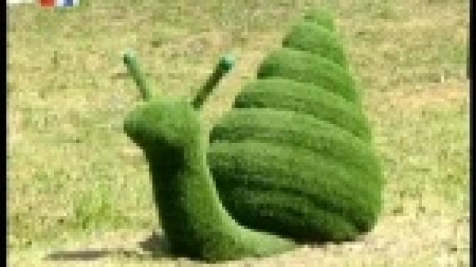 В Первоуральске появилась гигантская улитка.