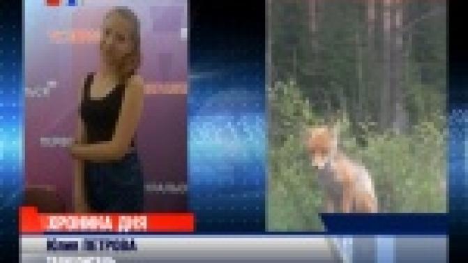 Следующую новость нам сообщили телезрители