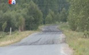 В Перескачке - настоящее нашествие мух