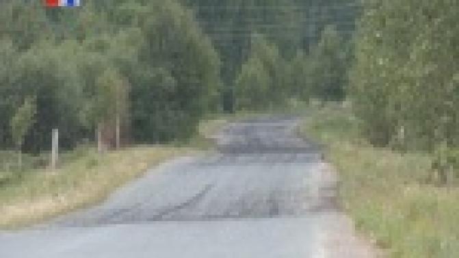 В Перескачке - настоящее нашествие мух