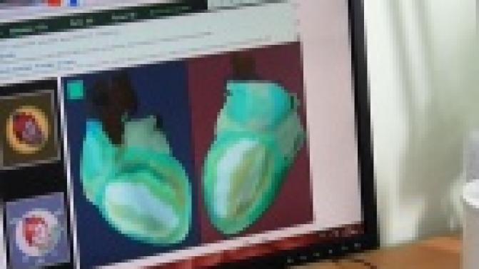 Первоуральские власти усилят пропаганду здорового образа жизни среди молодёжи