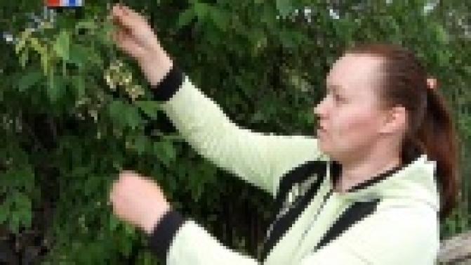 Странную шутку сыграла природа с жителями поселка Пильная