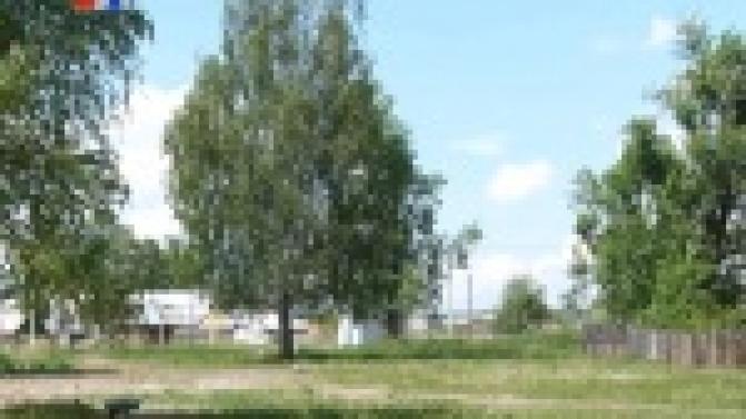 Предприняли кардинальные меры