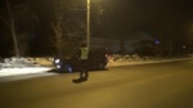 Отдых на природе для 11 водителей закончился лишением прав