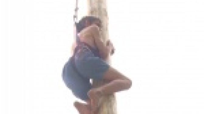 Праздник плуга собрал в парке культуры несколько тысяч горожан