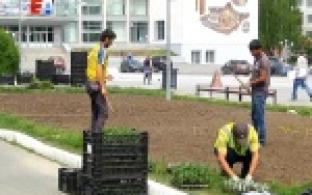 Центр Первоуральска украсят бабочки