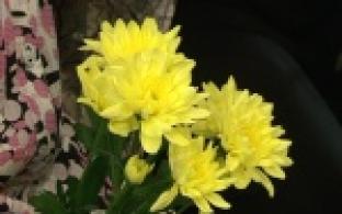 На юбилее Первоуральского Дома ребенка были и слезы, и улыбки