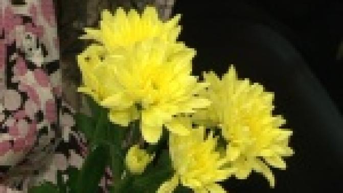 На юбилее Первоуральского Дома ребенка были и слезы, и улыбки