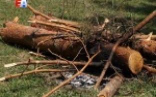 Чем дальше в лес, тем больше риск пожара