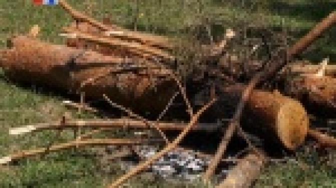 Чем дальше в лес, тем больше риск пожара