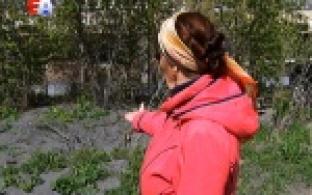 Сады здесь больше не цветут