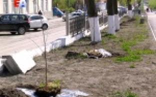 Улицу Ватутина намерены превратить в комфортную зону отдыха