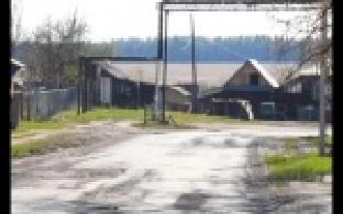 Провести газ, отремонтировать сельскую баню и обеспечить квалифицироваными врачами