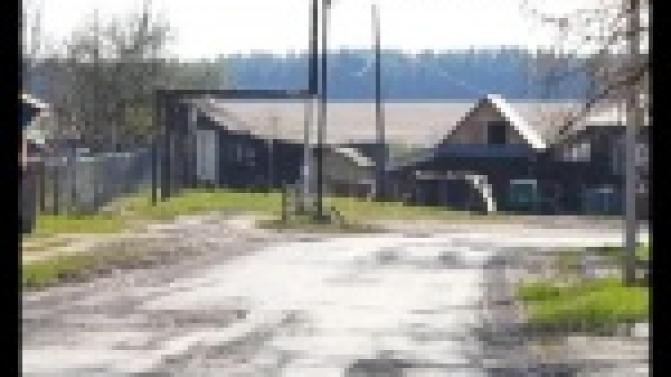 Провести газ, отремонтировать сельскую баню и обеспечить квалифицироваными врачами