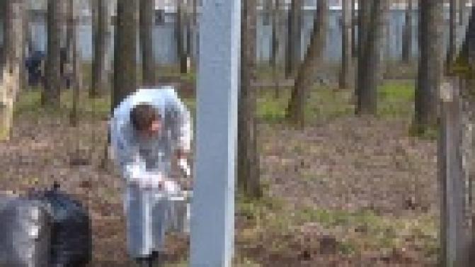 Сотрудники Заводоуправления ПНТЗ вышли на приборку Корабельной рощи