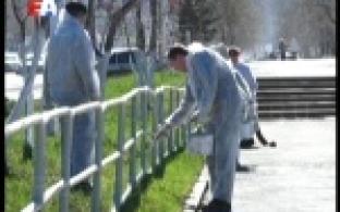 Сменили привычный инструмент на кисти и краски