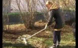 Сотрудники Трубопрокатного цеха решили помочь в уборке территории школы №10