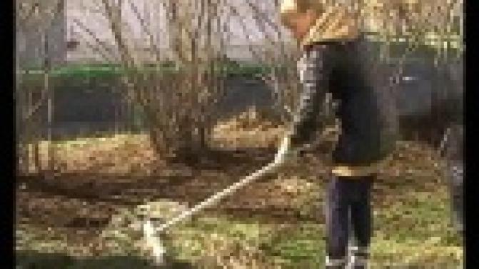 Сотрудники Трубопрокатного цеха решили помочь в уборке территории школы №10