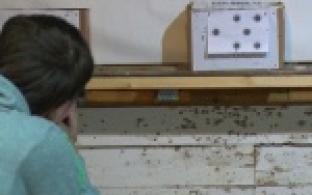 Соревновались в меткости