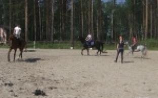 Соревнования по конному спорту впервые состоятся в Первоуральске