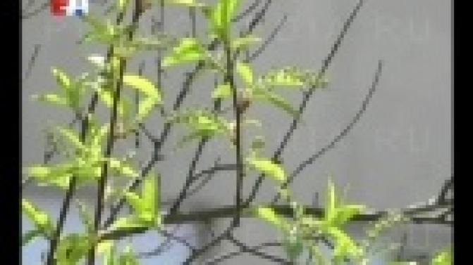 Сегодня в Первоуральске начали постепенно отключать батареи