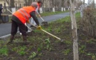 Месячник чистоты в Первоуральске идёт полным ходом