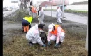 Традицию проводить генеральную уборку в городе поддержали новотрубники