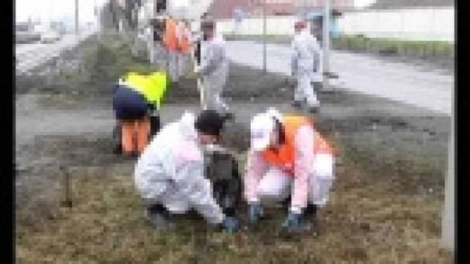 Традицию проводить генеральную уборку в городе поддержали новотрубники