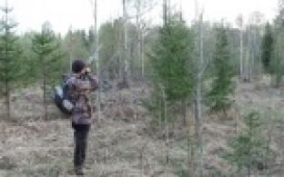 В Свердловской области стартует сезон весенней охоты