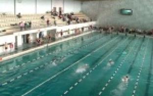 Медики, судебные приставы и заводчане соревновались в плавании