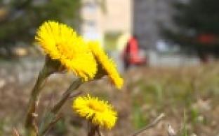 В Первоуральске стартовал месячник чистоты