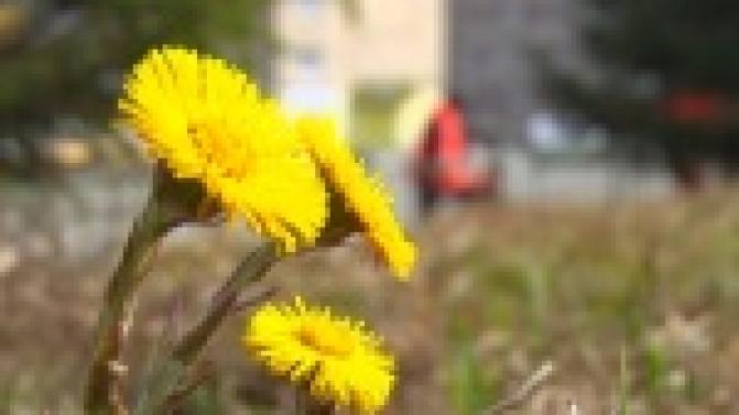 В Первоуральске стартовал месячник чистоты